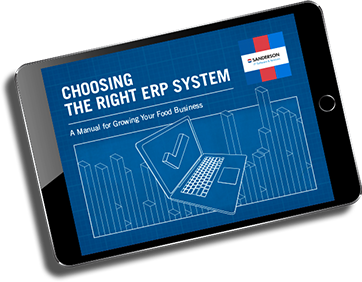 SNFD - Choosing the Right ERP System-Derivative